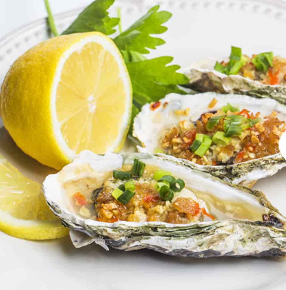 OYSTERS